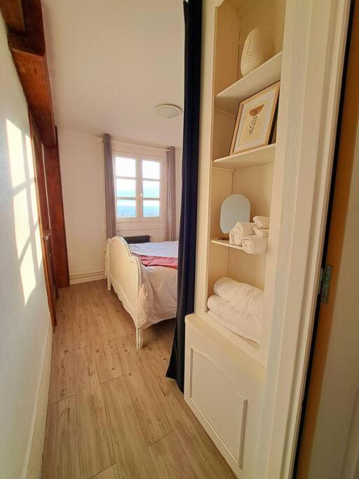 Charmant Duplex A Thiers, Vue Sur La Chaine Des Puys Exteriér fotografie